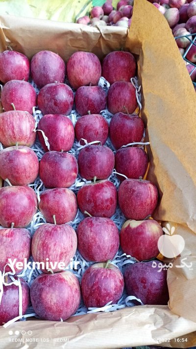 فروش سیب درختی در اهر  در گروه خرید فروش عمده سیب - زرد و قرمز گلاب پاییزه در یکمیوه -عکس3