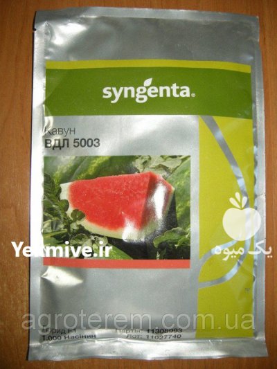 بذر هندوانه آراشان در اصفهان در گروه خرید فروش بذر - انواع محصول کشاورزی گوجه کتان میوه درخت در یکمیوه -عکس1