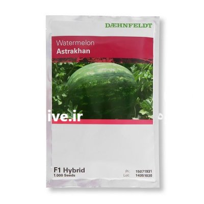 بذر هندوانه آستاراخان در کرج در گروه خرید فروش بذر - انواع محصول کشاورزی گوجه کتان میوه درخت در یکمیوه -عکس1