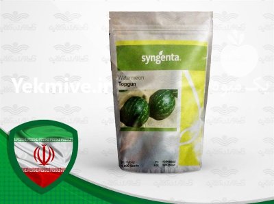 قیمت بذر کریمسون سوئیت در بجنورد در گروه خرید فروش بذر - انواع محصول کشاورزی گوجه کتان میوه درخت در یکمیوه -عکس2