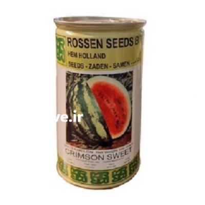 بذر هندوانه روزنسید در شیراز در گروه خرید فروش بذر - انواع محصول کشاورزی گوجه کتان میوه درخت در یکمیوه -عکس2