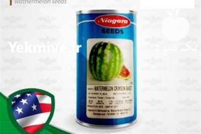قیمت بذر هندوانه نیاگارا در یاسوج در گروه خرید فروش بذر - انواع محصول کشاورزی گوجه کتان میوه درخت در یکمیوه -عکس3