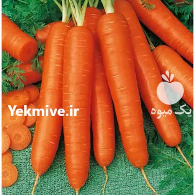 قیمت بذر هویج الیت در گرگان در گروه خرید فروش بذر - انواع محصول کشاورزی گوجه کتان میوه درخت در یکمیوه -عکس3