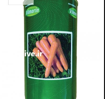 قیمت بذر هویج سیرانو در زنجان در گروه خرید فروش بذر - انواع محصول کشاورزی گوجه کتان میوه درخت در یکمیوه -عکس2