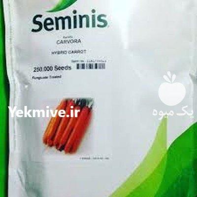 بذر هویج کارورا در کرج در گروه خرید فروش عمده هویج - فرنگی زرد صادراتی آبگیری قمی دزفول در یکمیوه -عکس2