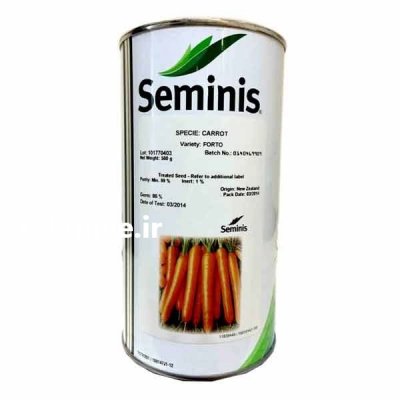 فروش بذر هویج کارینا در شیرود در گروه خرید فروش عمده هویج - فرنگی زرد صادراتی آبگیری قمی دزفول در یکمیوه -عکس1