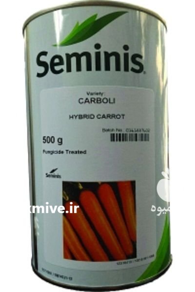 فروش بذر هویج کارینا در شیرود در گروه خرید فروش عمده هویج - فرنگی زرد صادراتی آبگیری قمی دزفول در یکمیوه -عکس2