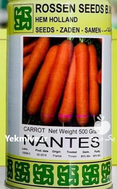 قیمت بذر هویج نانتس در گرگان در گروه خرید فروش عمده هویج - فرنگی زرد صادراتی آبگیری قمی دزفول در یکمیوه -عکس1