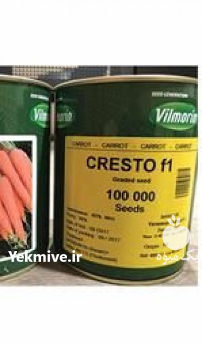 قیمت بذر هویج ویلمورین کریستو در ارومیه در گروه خرید فروش عمده هویج - فرنگی زرد صادراتی آبگیری قمی دزفول در یکمیوه -عکس1