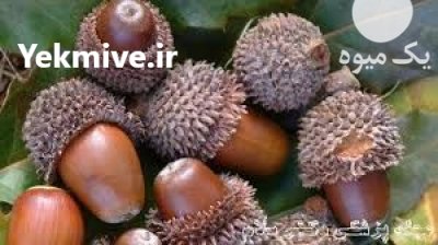 قیمت دستگاه پوست کن بلوط در اصفهان در گروه خرید فروش ابزار ها و تجهیزات کشاورزی - دستی برقی ماشینی بیل کلنگ در یکمیوه -عکس2