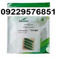 بذر خیار امپراطور در اصفهان در گروه خرید فروش بذر - انواع محصول کشاورزی گوجه کتان میوه درخت در یکمیوه