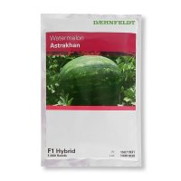 بذر هندوانه آستاراخان در کرج در گروه خرید فروش بذر - انواع محصول کشاورزی گوجه کتان میوه درخت در یکمیوه