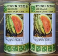 بذر هندوانه روزنسید در شیراز در گروه خرید فروش بذر - انواع محصول کشاورزی گوجه کتان میوه درخت در یکمیوه