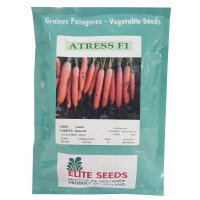 قیمت بذر هویج الیت سیدز در بابلسر در گروه خرید فروش بذر - انواع محصول کشاورزی گوجه کتان میوه درخت در یکمیوه