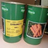 قیمت بذر هویج سیرانو در زنجان در گروه خرید فروش بذر - انواع محصول کشاورزی گوجه کتان میوه درخت در یکمیوه