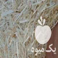 فروش انواع کاه و خوراک دام در رشت در گروه خوراک دام و طیور - پرواری شیری علوفه یونجه در یکمیوه