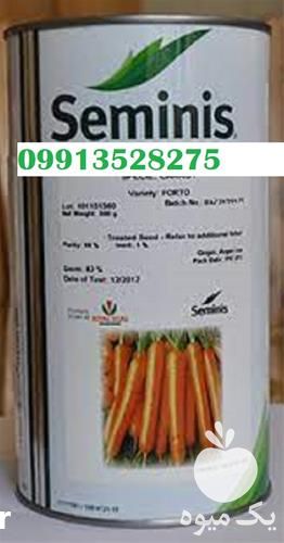 بذر هویج فورتو پر فروش بازار در خراسان رضوی در گروه خرید فروش عمده هویج - فرنگی زرد صادراتی آبگیری قمی دزفول در یکمیوه -عکس1