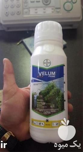 فروش سم قارچ کش ولوم با ارسال رایگان در خراسان رضوی در گروه خرید فروش کود و مواد شیمیایی - اوره پتاس مرغی کمپوست آهن در یکمیوه -عکس1