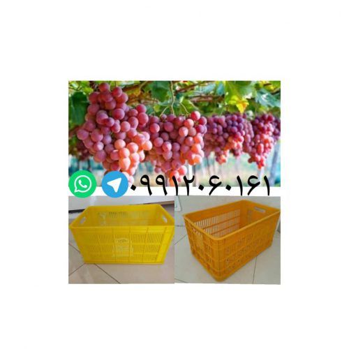 تولید و فروش سبد انگور سبد انباری در تبریز در گروه خرید فروش انواع سبد - میوه پلاستیکی چوبی گل در یکمیوه -عکس1