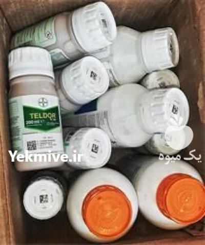 قیمت سم تلدور در قزوین در گروه سایر محصولات خاک و تغذیه و نهال در یکمیوه -عکس2