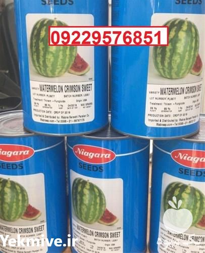 بذر هندوانه نیاگارا پرفروش اصل در همدان در گروه خرید فروش بذر - انواع محصول کشاورزی گوجه کتان میوه درخت در یکمیوه -عکس1