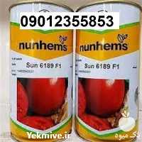 قیمت بذر گوجه فرنگی 6189 اصل در ایلام در گروه خرید فروش بذر - انواع محصول کشاورزی گوجه کتان میوه درخت در یکمیوه