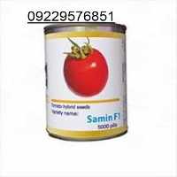 فروش بذر گوجه فرنگی ثمین F 1 در ایلام در گروه خرید فروش بذر - انواع محصول کشاورزی گوجه کتان میوه درخت در یکمیوه