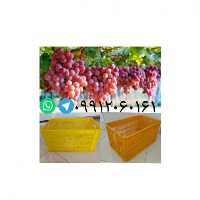 تولید و فروش سبد انگور سبد انباری در تبریز در گروه خرید فروش انواع سبد - میوه پلاستیکی چوبی گل در یکمیوه