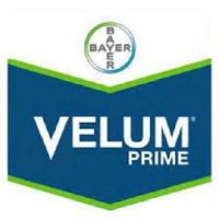 قیمت سم ولوم بایر آلمان در تهران در گروه سایر محصولات خاک و تغذیه و نهال در یکمیوه