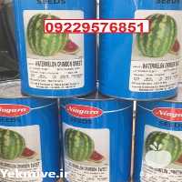 بذر هندوانه نیاگارا پرفروش اصل در همدان در گروه خرید فروش بذر - انواع محصول کشاورزی گوجه کتان میوه درخت در یکمیوه