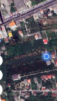 آگهی مشابه فروش قطعه 600 متری در تنکابن در خرم آباد در گروه باغ و باغچه - کشاورزی باغبانی میوه خرید فروش در یکمیوه