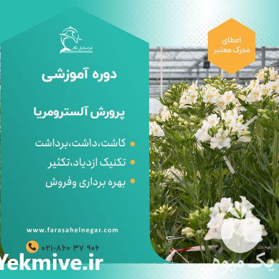 فروش دوره آموزشی آلسترومریا در تهران در گروه مشاوره - راه اندازی بازاریابی کسب درآمد بهبود کسب و کار در یکمیوه -عکس1