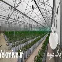 فروش مشاوره و طراحی سازه های گلخانه ای در تهران در گروه خرید فروش تجهیزات گلخانه - صنعتی خانگی هوشمند دست دوم در یکمیوه