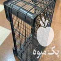 فروش سبد میوه درجه 1 در ارومیه در گروه خرید فروش انواع سبد - میوه پلاستیکی چوبی گل در یکمیوه