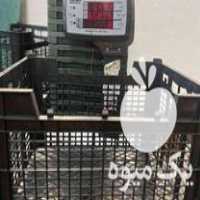 فروش سبد گوجه سیب هلو شلیل در توحید در گروه خرید فروش انواع سبد - میوه پلاستیکی چوبی گل در یکمیوه