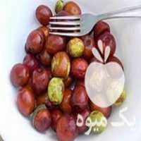 فروش نهال عناب خرمایی خاف در ساری در گروه خرید فروش نهال - انواع گردو پسته بادام سلطانی انگور در یکمیوه