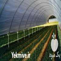 تولید و فروش نایلون عریض کشاورزی در تهران در گروه خرید فروش انواع پوشش ها و ورق ها - پلی استر پلی کربنات نایلون در یکمیوه