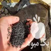 فروش بذر پیاز سفید محلی در ساری در گروه خرید فروش عمده پیاز - قرمز سفید زرد ترشی تازه انباری در یکمیوه