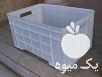 فروش سبد فلفل دلمه در اصفهان در گروه خرید فروش انواع سبد - میوه پلاستیکی چوبی گل در یکمیوه -عکس1