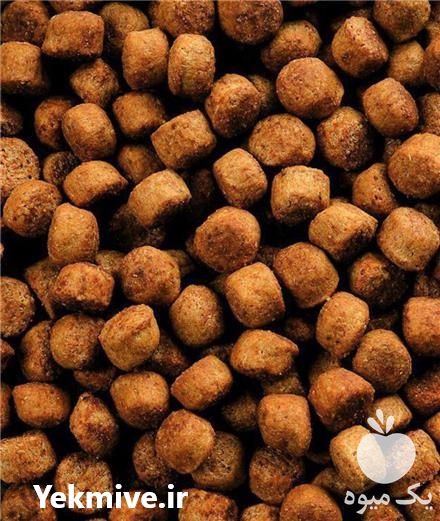 فروش خوراک ماهی کپور و قزل الا در شهریار در گروه خوراک شیلات و آبزیان - ماهی گیلان خوزستان چابهار بوشهر در یکمیوه -عکس1