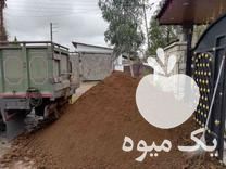 فروش کود گوسفندی یا گاوی خشک در نوشهر در گروه خرید فروش کود و مواد شیمیایی - اوره پتاس مرغی کمپوست آهن در یکمیوه -عکس1