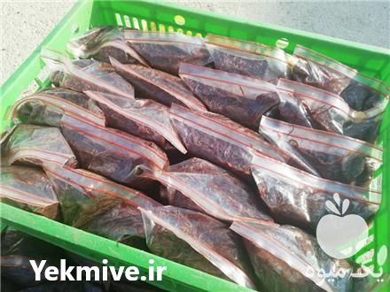 خرید کرم خاکی منجمد در ورامین در گروه خوراک شیلات و آبزیان - ماهی گیلان خوزستان چابهار بوشهر در یکمیوه -عکس1