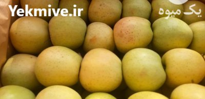 فروش ده تن سیب در ارومیه در گروه خرید فروش عمده سیب - زرد و قرمز گلاب پاییزه در یکمیوه -عکس1