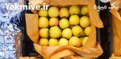 فروش ده تن سیب در ارومیه در گروه خرید فروش عمده سیب - زرد و قرمز گلاب پاییزه در یکمیوه -عکس2
