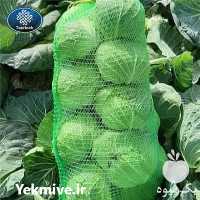 فروش توری کلم در بابل در گروه خرید فروش بسته بندی نایلونی - کیسه نایلکس مشما پلاستیک در یکمیوه