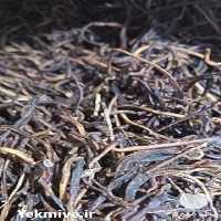 فروش مشاوره پرورش کرم خاکی و تولید کود ورمی کمپوست در تهران در گروه مشاوره - راه اندازی بازاریابی کسب درآمد بهبود کسب و کار در یکمیوه