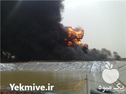 فروش و ساخت استخر کشاورزی در تهران در گروه خرید فروش انواع پوشش ها و ورق ها - پلی استر پلی کربنات نایلون در یکمیوه -عکس1