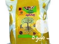 فروش کود چالکود باغ در نقده در گروه خرید فروش کود و مواد شیمیایی - اوره پتاس مرغی کمپوست آهن در یکمیوه -عکس1