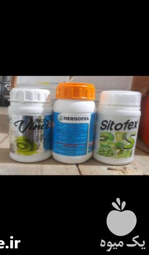 فروش هورمون رشد مخصوص کیوی در ارومیه در گروه خرید فروش عمده کیوی - صادراتی مازندران تنکابن تالش در یکمیوه -عکس1