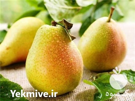 فروش نهال گلابی اسپادانا در کرج در گروه خرید فروش نهال - انواع گردو پسته بادام سلطانی انگور در یکمیوه -عکس1